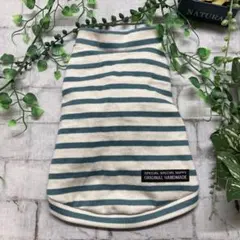 ミントボーダー ロンＴ Sサイズ