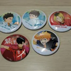 ハイキュー 横断幕缶バッジ 及川徹 岩泉一 日向翔陽 孤爪研磨 黒尾鉄朗