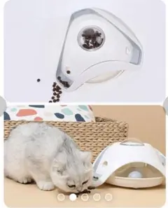 Item thumbnail for item 6482b64c-305b-4725-9264-2477ce61bb9f