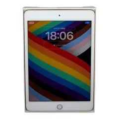 【美品】iPad mini5 256GB Gold 箱&アクセサリー付