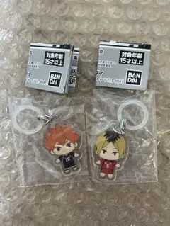 ハイキュー！！　日向翔陽/狐爪研磨　ふらっとめじるしアクセサリー　2個セット