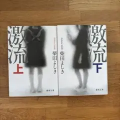激流 上下セット