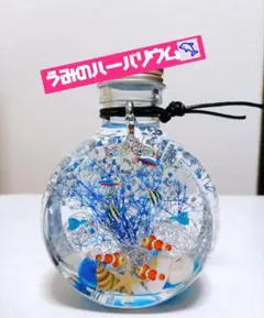 NEW 横型 固まるハーバリウム Ocean 濃い水色 - メルカリ