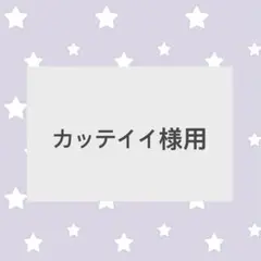 【カッテイイ様専用】リペイント依頼