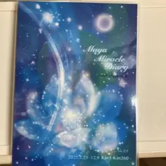 マヤミラクルダイアリー