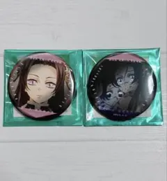 劇場版 鬼滅の刃 ものがたる眼差し コレクション缶バッジ 胡蝶カナエ しのぶ