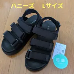 Item thumbnail for item db50bd06-5543-439f-a8b2-356ef0cab049