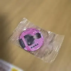 Item thumbnail for item 818ad491-1b67-4574-874f-0385adca5609