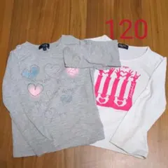 120　長袖Tシャツ　EASTBOY＆コムサイズム