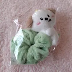 RIIZE アントン シュシュ 2026年最新】Riize アントン シュシュの人気アイテム - メルカリ