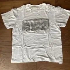 Mylanka ミランカ Tシャツ　サイズ38のサムネイル