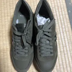 Item thumbnail for item cc4daac8-361c-483d-8086-09015f9a4255