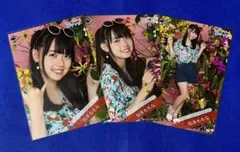 Item thumbnail for item 9e861c46-fe9b-4afd-b4bb-235e8c9ca1f1