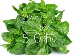 強靭、スウィートバジル強化種５０粒＋粗品プレゼント＋全国匿名送料無料です
