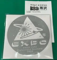 『(生)林檎博'24－景気の回復－」アカデミック盤DVD 椎名林檎 即日発送6