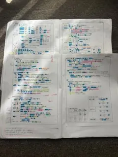 早慶大日本史　坂本先生プリント全て(通史、テーマ史、文化史、歴代内閣)のサムネイル