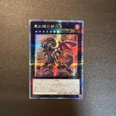 遊戯王 真紅眼の鋼炎竜 レッドアイズ 25th