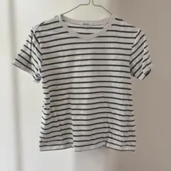 ストライプ Tシャツ 150cm