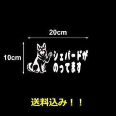 【スピード発送】【匿名配送】シェパードがのってます　カッティングステッカー　１
