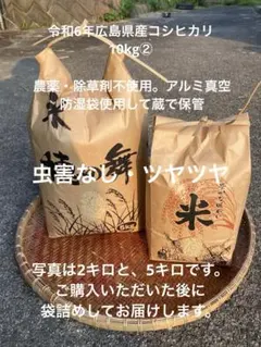 【令和6年産】自家製コシヒカリ 玄米10kg 栽培期間中 農薬・除草剤不使用⁠ 令和6年産】自家製コシヒカリ 玄米10kg② 栽培期間中 農薬・除草剤不