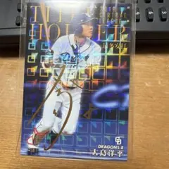 Item thumbnail for item e8f3c052-7b3d-4d3d-b250-a6e9570a8317