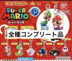 新品未使用/スーパーマリオ/めじるしアクセサリー/全種コンプリート品