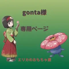 gonta様専用ページ