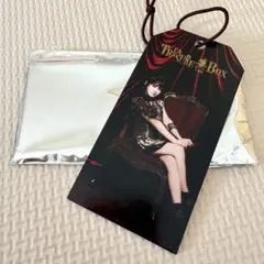 T-ARA ラゲージタグ ボラム