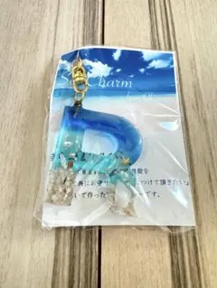 Sea Charm キーホルダー R 沖縄　レジン