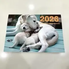 Item thumbnail for item af600c33-e768-4421-ad26-93cf8fff8b2e