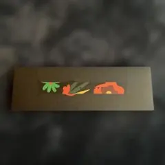 Apple Watch スポーツバンド マルチカラー