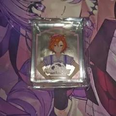 テイエムオペラオー コロッタ