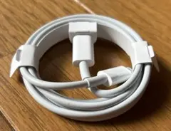 新品未使用　純正品Type-C USB Lightning Apple