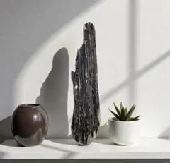 2025年最新】盆栽流木の人気アイテム - メルカリ