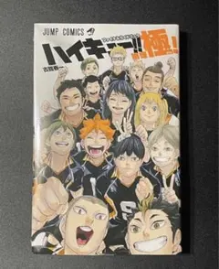 【最終値下】【美品】ハイキュー!! 全巻セット　排球本 排球極！ ハイカラ!! ハイキュー全巻セット+ファイナルガイドブック排球極 Amazon.com