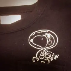 チャオパニック ティピー スヌーピー