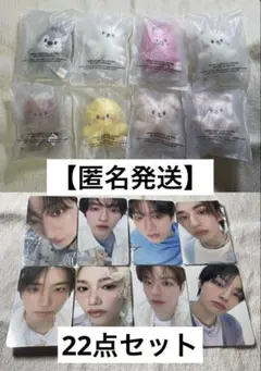 straykids スキズ skzoo マイクロ キーリング 22点 コンプ