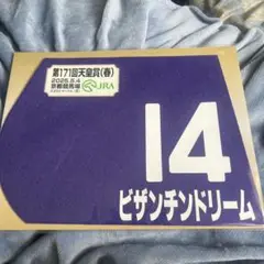 イクイノックス　2022日本ダービーミニゼッケン 出走馬 ミニゼッケン イクイノックス 日本ダービー 2022 JRA