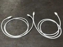 Apple USB-Cタイプ ケーブル 2本セット