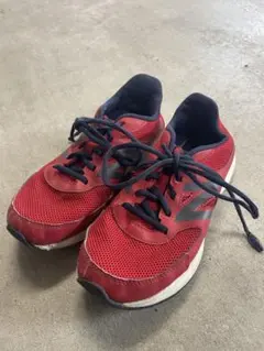 Item thumbnail for item 81f17fba-19bd-4237-810c-952a7a59444b