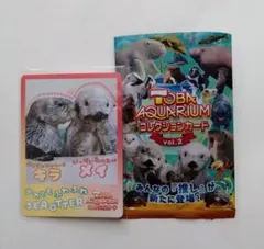 鳥羽水族館 コレクションカード vol.2 ラッコ キラ メイ - メルカリ