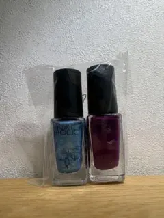 NAIL HOLIC ネイルカラー 2本セット