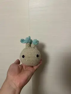 グラキリス　手のひらサイズのハンドメイド