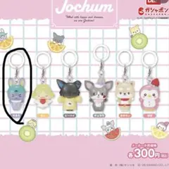 JOCHUM ちまた めじるしアクセサリー 2個セット