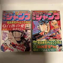 2025年最新】山止たつひここち亀の人気アイテム - メルカリ