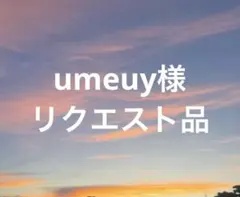 umeuy様 リクエスト 2点 まとめ商品