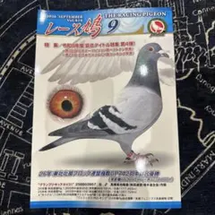 レース鳩 2026年9月号