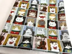 シーチング綿生地幅110cm×100cm.格猫4270