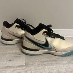 NIKE LEBRON7 MVP バスケットシューズ - メルカリ