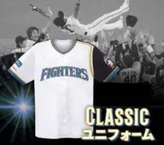 北海道日本ハムファイターズ ユニフォーム 小笠原道大 送料無料 即決 北海道日本ハムファイターズ 小笠原道大選手